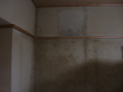 和室にカビが発生しました。