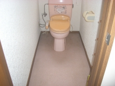 便器周りの汚れが目立ちます。