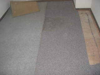 捲って見るとカビが生えていました。