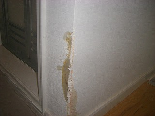 犬が柱の角をかじってしまいました。